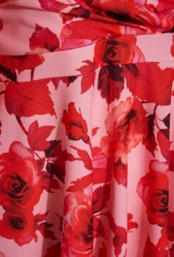 YOURS LONDON - Robe Rose & Rouge Floral Design Bardot 13 YOURS LONDON - Robe Rose & Rouge Floral Design Bardot -GrandeTendance Boutique 05ab46d8 4da6 46 161310 S