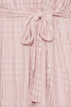 YOURS LONDON - Robe Rose Patineuse Design Dentelle 13 YOURS LONDON - Robe Rose Patineuse Design Dentelle -GrandeTendance Boutique 1f1640b6 dfc2 42 161999 Z