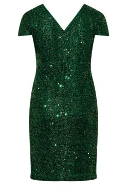 YOURS LONDON - Robe Sequin Verte Coupe Droite Manches Courtes 15 YOURS LONDON - Robe Sequin Verte Coupe Droite Manches Courtes -GrandeTendance Boutique 328a1252 65e1 41 161716 Y