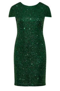 YOURS LONDON - Robe Sequin Verte Coupe Droite Manches Courtes 14 YOURS LONDON - Robe Sequin Verte Coupe Droite Manches Courtes -GrandeTendance Boutique 426323e1 aaa2 4e 161716 X