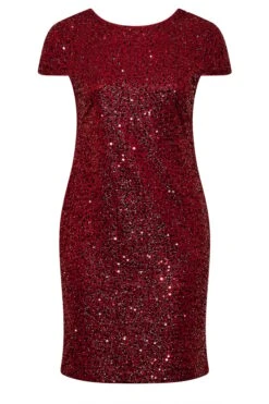 YOURS LONDON - Robe Sequin Rouge Coupe Droite Manches Courtes 14 YOURS LONDON - Robe Sequin Rouge Coupe Droite Manches Courtes -GrandeTendance Boutique 5d192298 4a0e 46 161715 X
