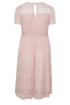 YOURS LONDON - Robe Rose Patineuse Design Dentelle 15 YOURS LONDON - Robe Rose Patineuse Design Dentelle -GrandeTendance Boutique 8c1363c2 fce6 44 161999 Y