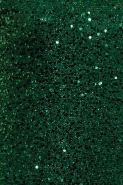 YOURS LONDON - Robe Sequin Verte Coupe Droite Manches Courtes 13 YOURS LONDON - Robe Sequin Verte Coupe Droite Manches Courtes -GrandeTendance Boutique d48026b0 221b 40 161716 Z